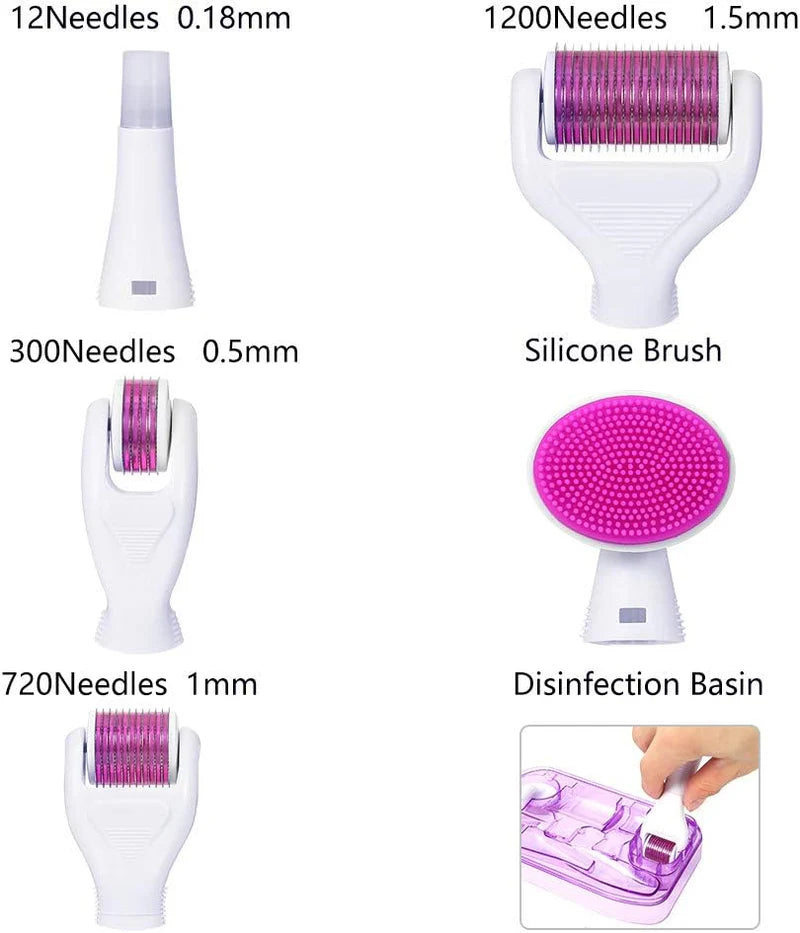 6-in-1 Derma Roller
