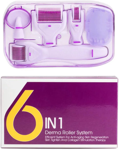 6-in-1 Derma Roller